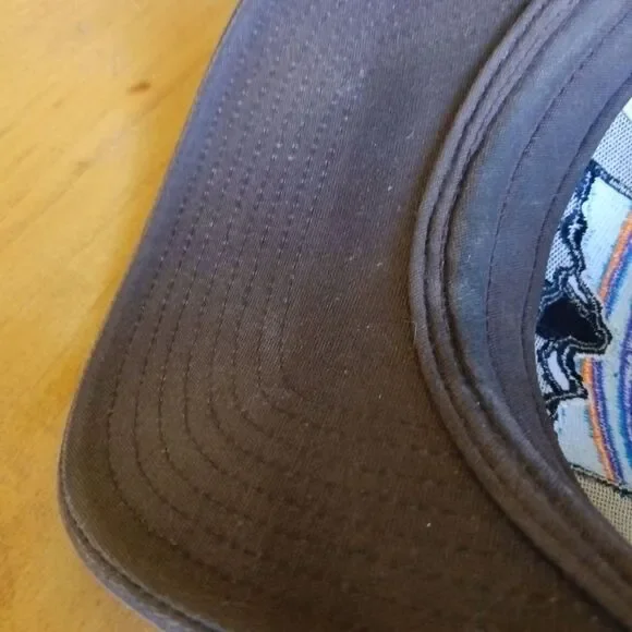 Patagonia Fitz Roy Horizons Trucker Cap One Size adjustable blue brown - Picture 4 of 6